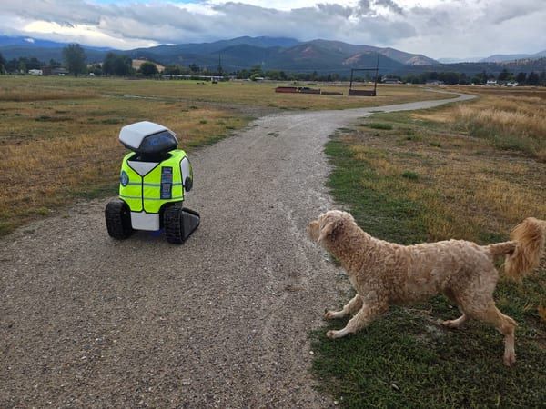 Dax robot spotted in the field, #ifounddax photo 54